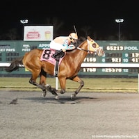 Racing at Turfway Park