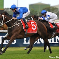 Winx 2019