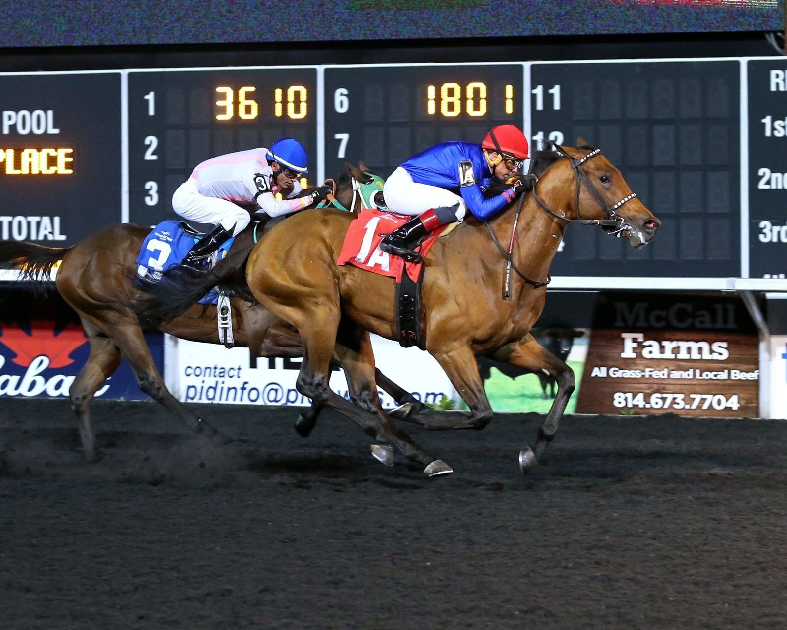 Racing at Presque Isle Downs.