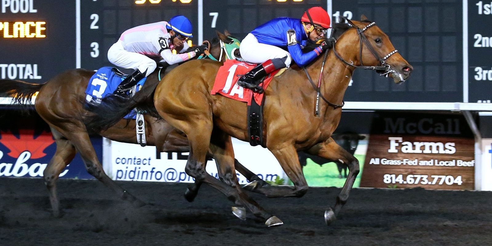 Racing at Presque Isle Downs.