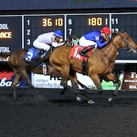Racing at Presque Isle Downs.