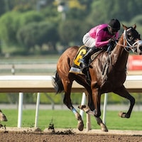 Get Her Number wins American Pharoah S. 2020 (Photo by Benoit Photography)