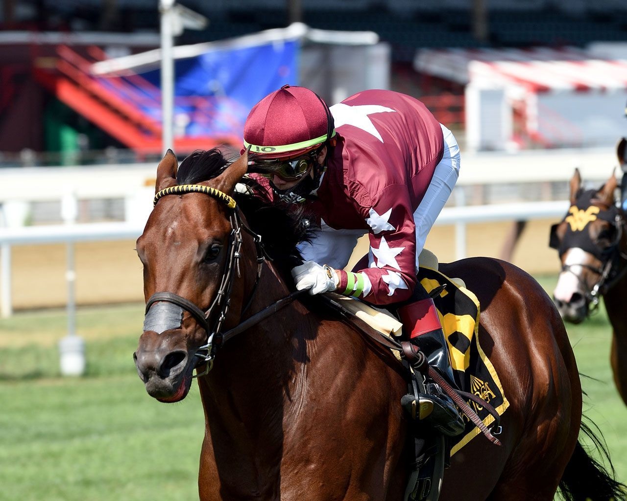 Golden Pal wins the Skidmore (Coglianese Photos/Chelsea Durand)