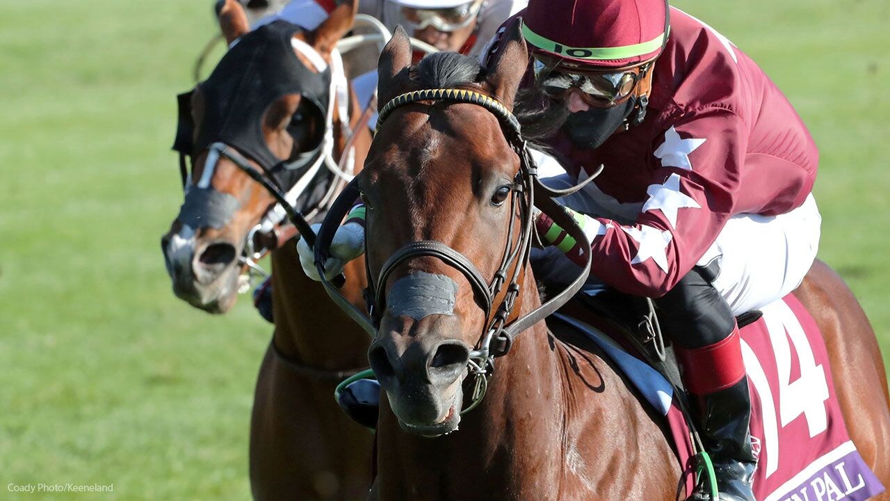 Golden Pal (Photo by Coady Photography/Keeneland)
