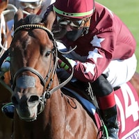 Golden Pal (Photo by Coady Photography/Keeneland)