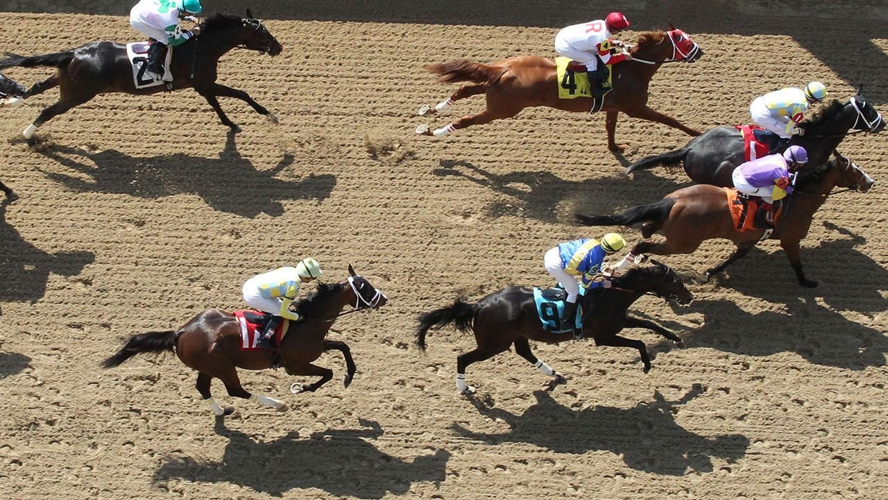 Horse racing