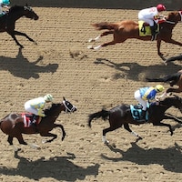 Horse racing