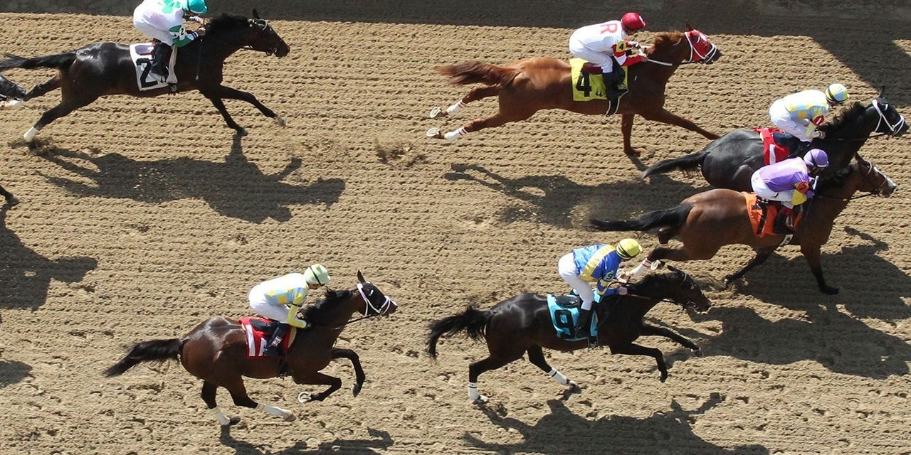 Horse racing