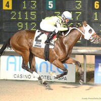 Racing at Delta Downs
