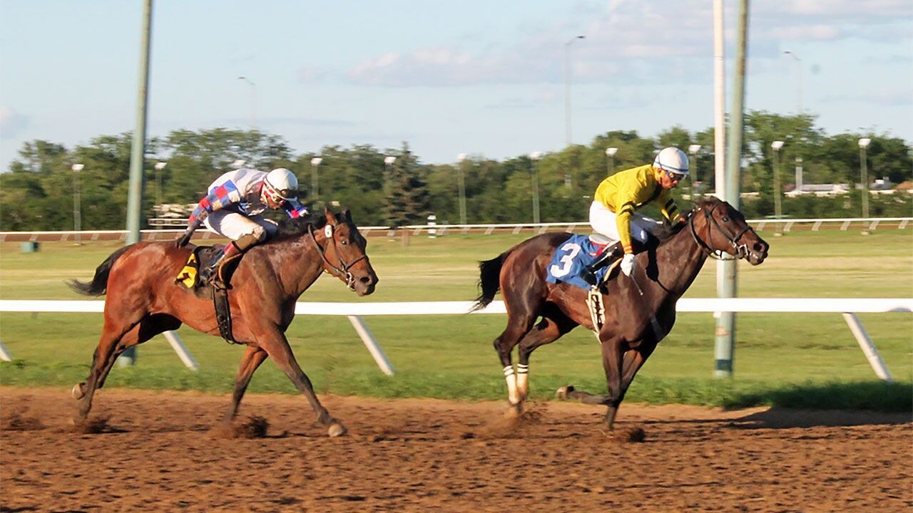 Assiniboia Downs Racing