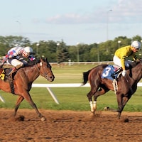 Racing at Assiniboia Downs