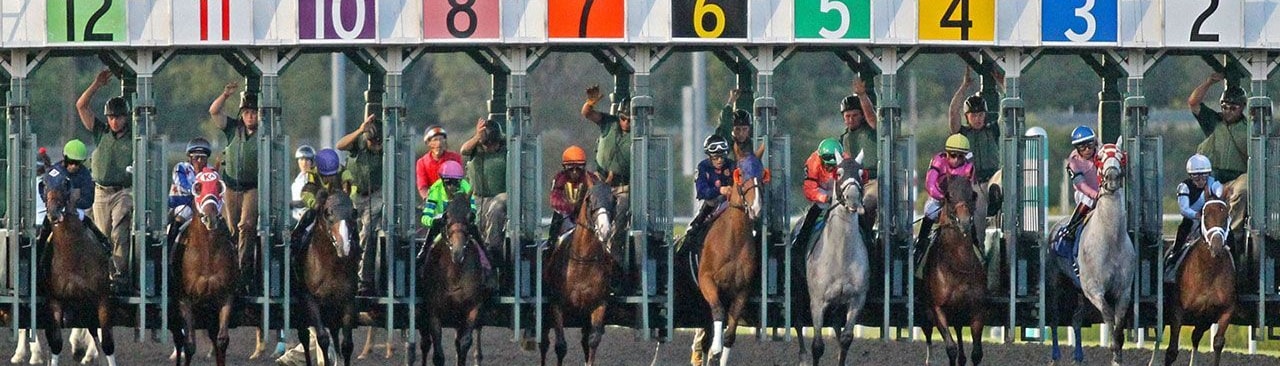 Racing at Presque Isle Downs
