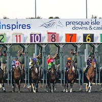 Racing at Presque Isle Downs