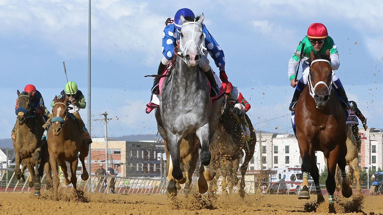Racing at Charles Town