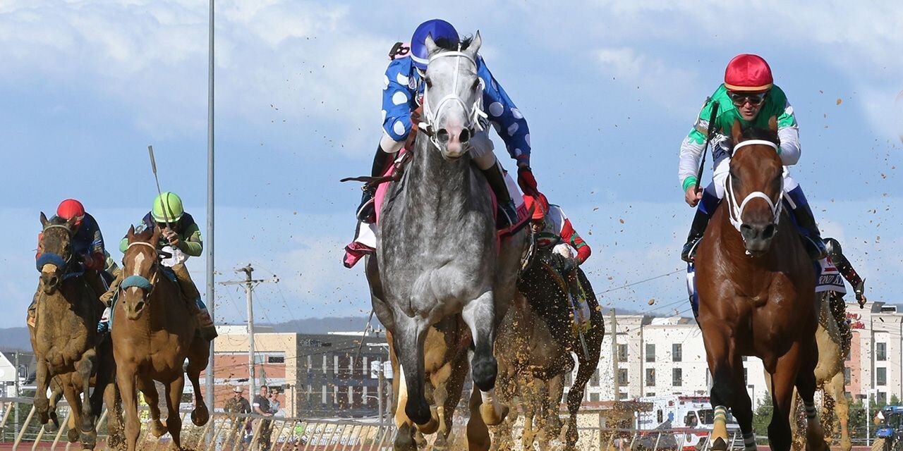 Racing at Charles Town