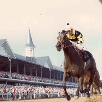 Seattle Slew wins the 1977 Kentucky Derby at Churchill Downs. (Courtesy of the Kentucky Derby/Churchill Downs)
