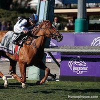 Breeders' Cup