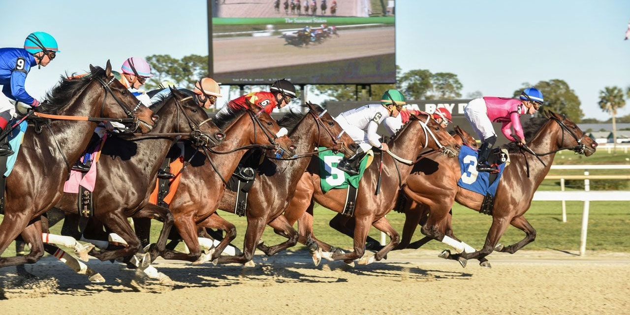 Racing at Tampa Bay Downs