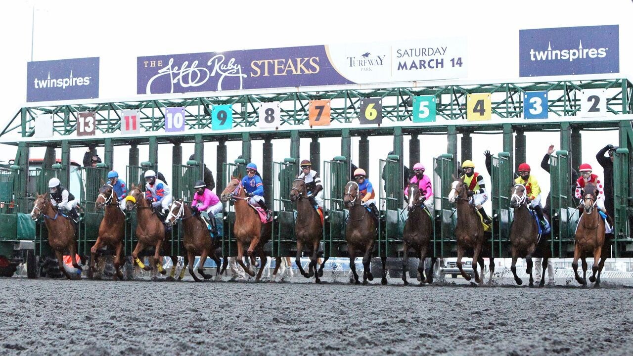 Turfway Park starting gate scenic
