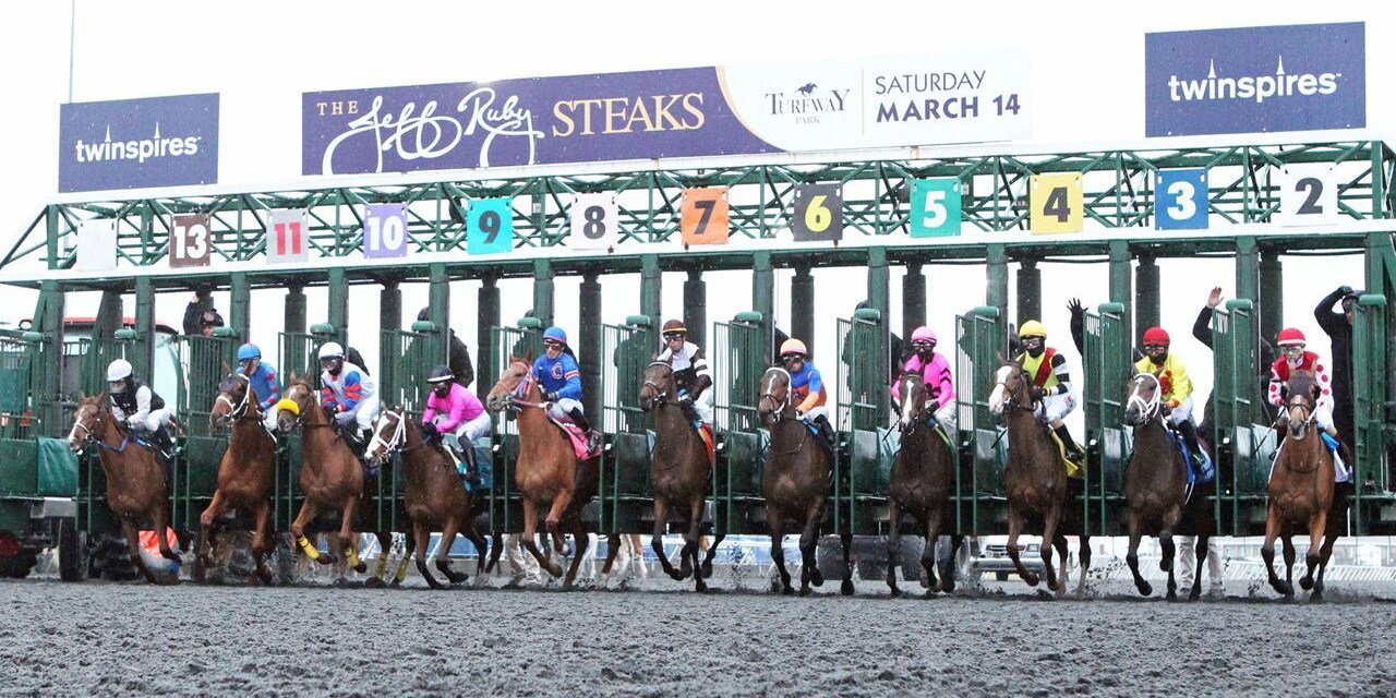 Turfway Park starting gate scenic