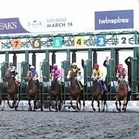 Turfway Park starting gate scenic