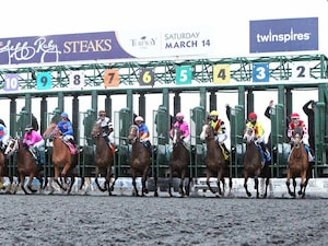 Turfway Park starting gate scenic