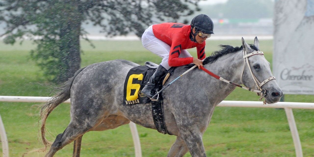 Racing at Will Rogers Downs