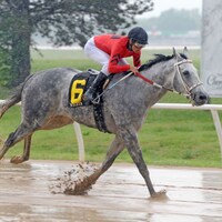 Racing at Will Rogers Downs