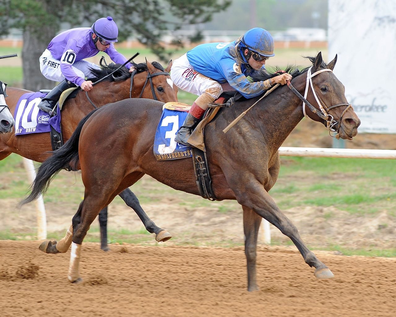 Racing at Will Rogers Downs