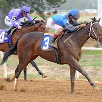 Racing at Will Rogers Downs