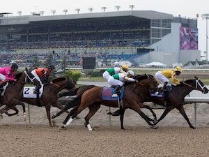 Racing at Woodbine