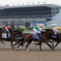 Racing at Woodbine.