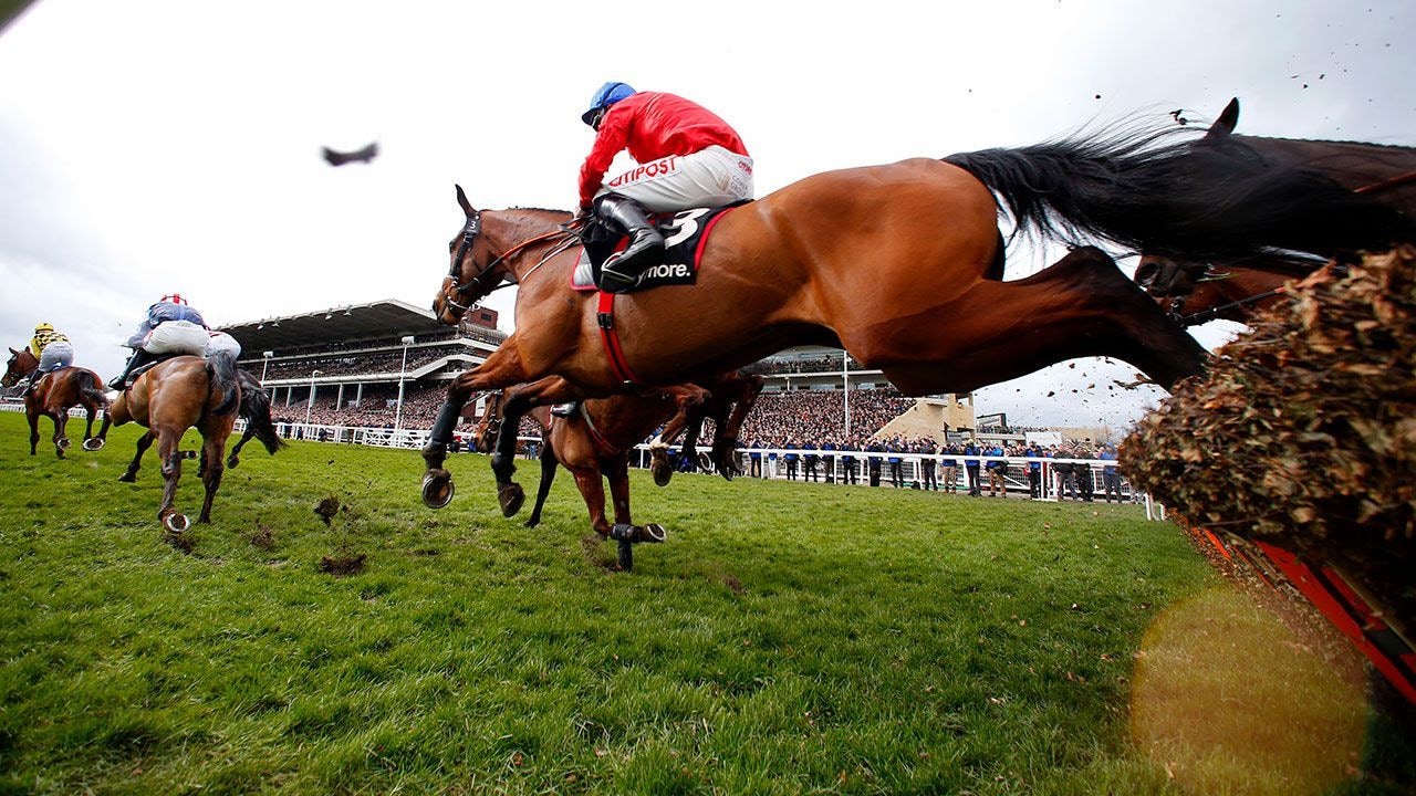 Envoi Allen at the Cheltenham Festival on March 11, 2020