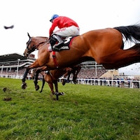 Envoi Allen at the Cheltenham Festival on March 11, 2020