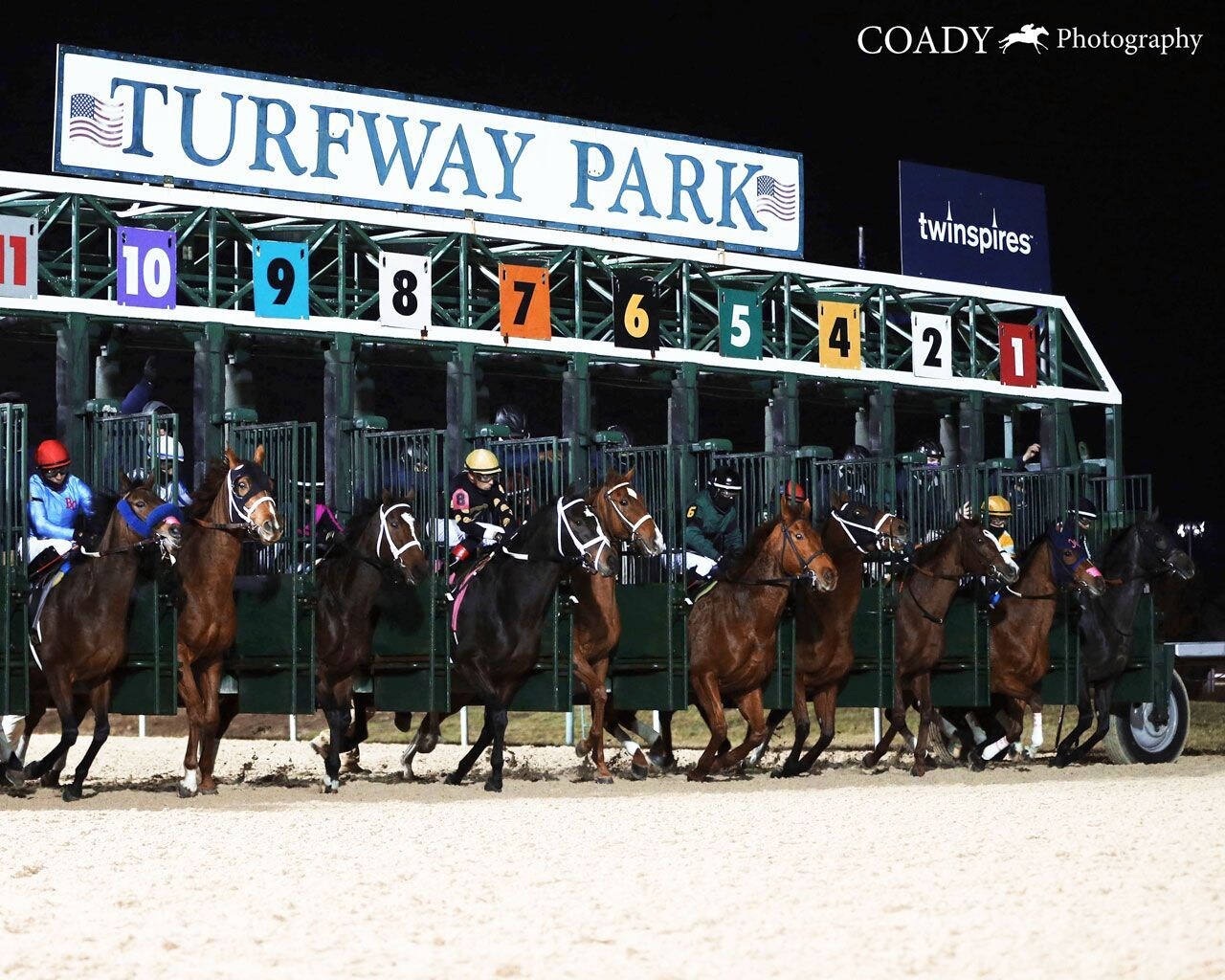 Turfway Park starting gate scene